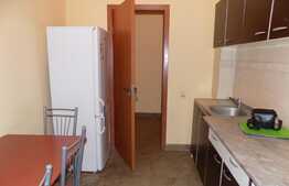 2 camere, 50 mp, mobilat modern,  zona Hotelului Golden Tulip 