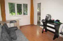 Garsoniera de inchiriat, 24 mp, zona Profi