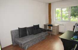 Garsoniera de inchiriat, 24 mp, zona Profi