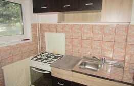 Garsoniera de inchiriat, 24 mp, zona Profi