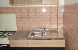 Garsoniera de inchiriat, 24 mp, zona Profi