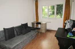 Garsoniera de inchiriat, 24 mp, zona Profi