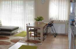 De vanzare apartament cu 2 camere, 58.5 mp! Zona strazii Florilor!