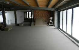 De inchiriat spatiu de 250 mp utili, terasa de 70 mp! Zona cu acces facil!