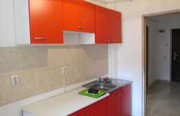 2 camere, 57 mp, decomandat, terasa de 20 mp! Parcare cu CF! Zona Porii!