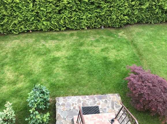 Casa de vânzare 4 camere Bună Ziua - 25999CV | BLITZ Cluj-Napoca | Poza4