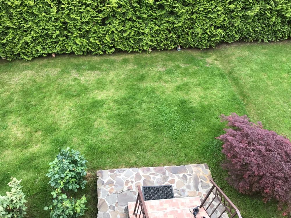 Casa de vânzare 4 camere Bună Ziua - 25999CV | BLITZ Cluj-Napoca | Poza4