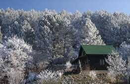 Vila pentru pretentiosi, 240 mp utili, teren de 4400 mp,Piscina! Zona de case! 