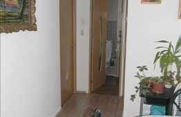 De vanzare apartament cu 3 camere, zona strazii Bucium, 70 mp utili.