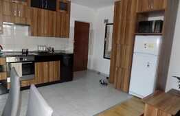 Apartament de vanzare, 3 camere, 63 mp! Parcare! Zona strazii Tineretului!