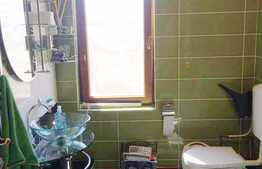  3 camere in imobil tip casa/vila, 86 mp, terasa, gradina, zona Remenyik Sandor