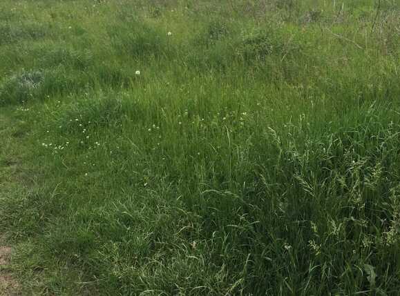 Teren de vânzare Floreşti - 26061TV | BLITZ Cluj-Napoca | Poza1