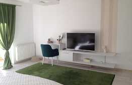 Apartament 1 camera, 47 mp! Mobilat si utilat! Parcare! Zona strazii Stejarului!