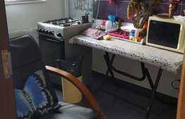 Vanzare garsoniera, 34 mp! Mobilata si utilata! Gradina de 25 mp! Zona Vivo!