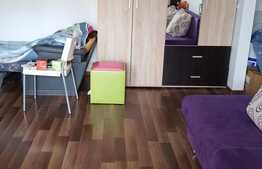 Vanzare garsoniera, 34 mp! Mobilata si utilata! Gradina de 25 mp! Zona Vivo!