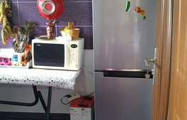 Vanzare garsoniera, 34 mp! Mobilata si utilata! Gradina de 25 mp! Zona Vivo!