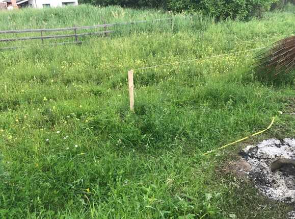 Casa de vânzare 4 camere Făget - 26131CV | BLITZ Cluj-Napoca | Poza12