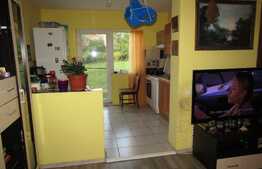 Vanzare duplex 120 mp utili! Teren de 100 mp! Mobilat si utilat! 