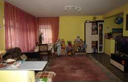 Vanzare duplex 120 mp utili! Teren de 100 mp! Mobilat si utilat! 