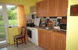 Vanzare duplex 120 mp utili! Teren de 100 mp! Mobilat si utilat! 