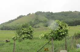 Teren intravilan, 3000 mp, front de 100 ml, zona linistita