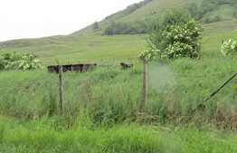 Teren intravilan, 3000 mp, front de 100 ml, zona linistita