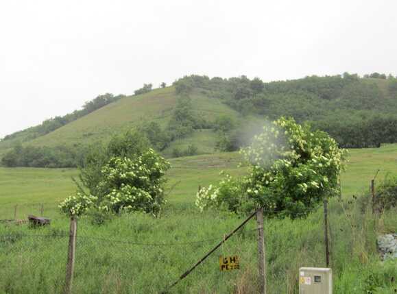 Teren de vânzare Exterior Nord - 26141TV | BLITZ Cluj-Napoca | Poza1
