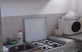 Garsoniera de vanzare, 28 mp, decomandata, zona Aleea Detunata