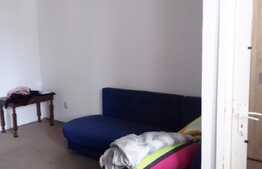 Garsoniera de vanzare, 28 mp, decomandata, zona Aleea Detunata