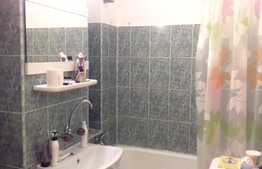 Garsoniera de vanzare, 28 mp, decomandata, etaj intermediar, zona Big