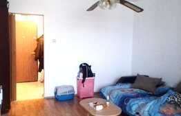 Garsoniera de vanzare, 28 mp, decomandata, etaj intermediar, zona Big