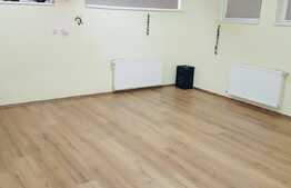 Imobil multifunctional de inchiriat, 600 mp, zona Lidl