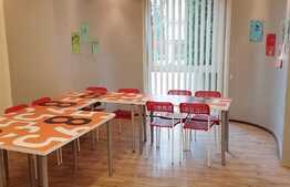 Imobil multifunctional de inchiriat, 600 mp, zona Lidl