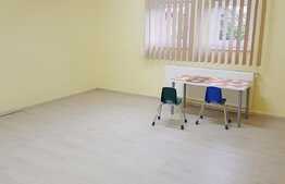 Imobil multifunctional de inchiriat, 600 mp, zona Lidl