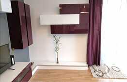 2 camere, 70 mp! Mobilat si utilat LUX! Zona Somesului!