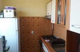 Apartament, 2 camere, 44 mp, etaj intermediar, parcare, zona Garii