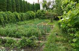 Casa individuala, 95 mp utili, teren de 1250 mp, zona Autogarii Beta