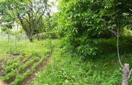 Casa individuala, 95 mp utili, teren de 1250 mp, zona Autogarii Beta