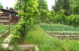 Casa individuala, 95 mp utili, teren de 1250 mp, zona Autogarii Beta