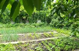 Casa individuala, 95 mp utili, teren de 1250 mp, zona Autogarii Beta