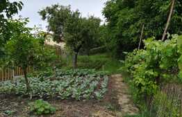 Casa individuala, 95 mp utili, teren de 1250 mp, zona Autogarii Beta