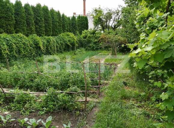 Casa de vânzare 4 camere Dambul Rotund - 26183CV | BLITZ Cluj-Napoca | Poza3