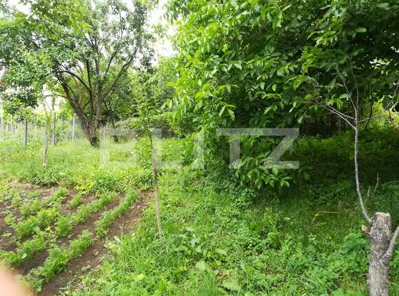 Casa de vânzare 4 camere Dambul Rotund - 26183CV | BLITZ Cluj-Napoca | Poza6