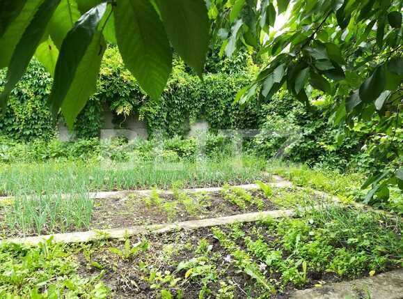 Casa de vânzare 4 camere Dambul Rotund - 26183CV | BLITZ Cluj-Napoca | Poza4