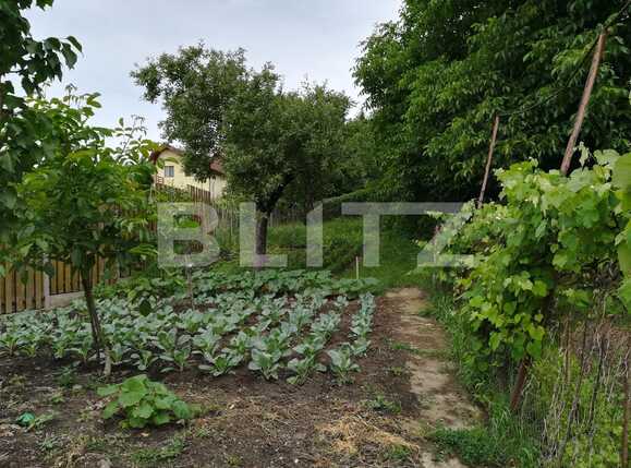 Casa de vânzare 4 camere Dambul Rotund - 26183CV | BLITZ Cluj-Napoca | Poza5