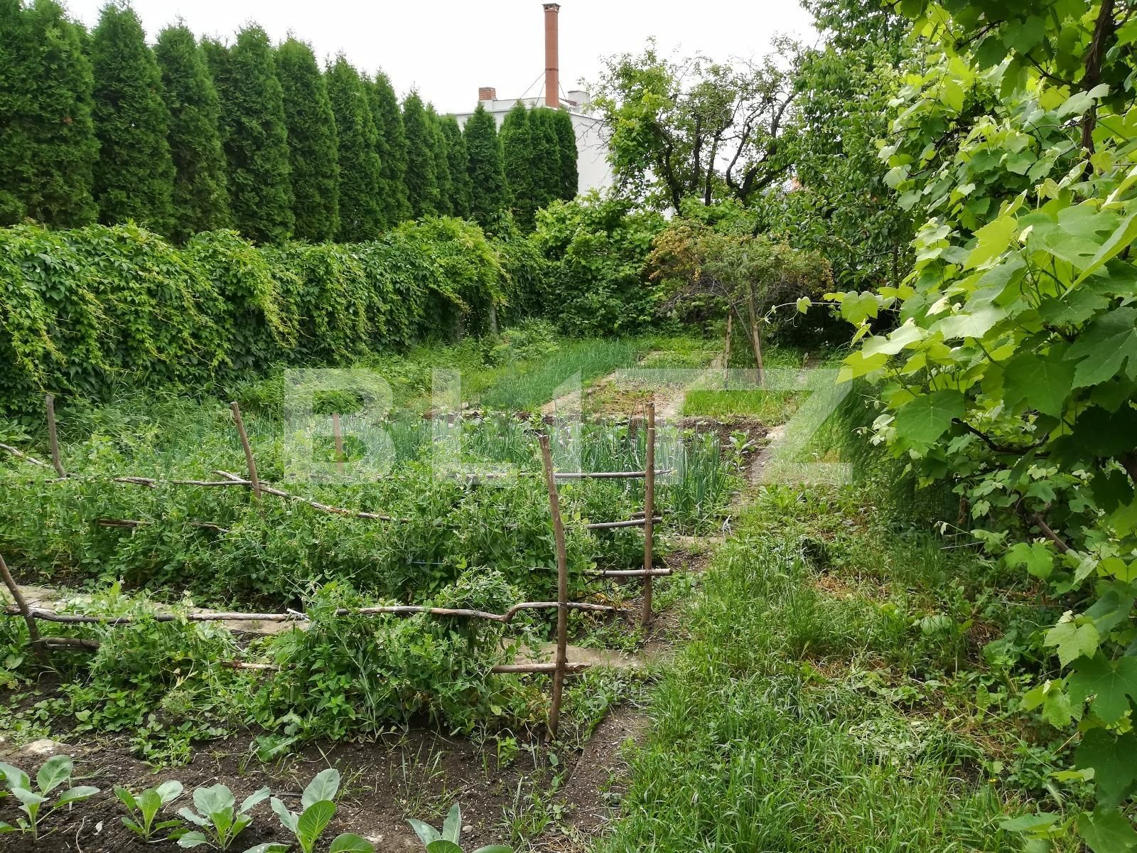 Casa de vânzare 4 camere Dambul Rotund - 26183CV | BLITZ Cluj-Napoca | Poza3