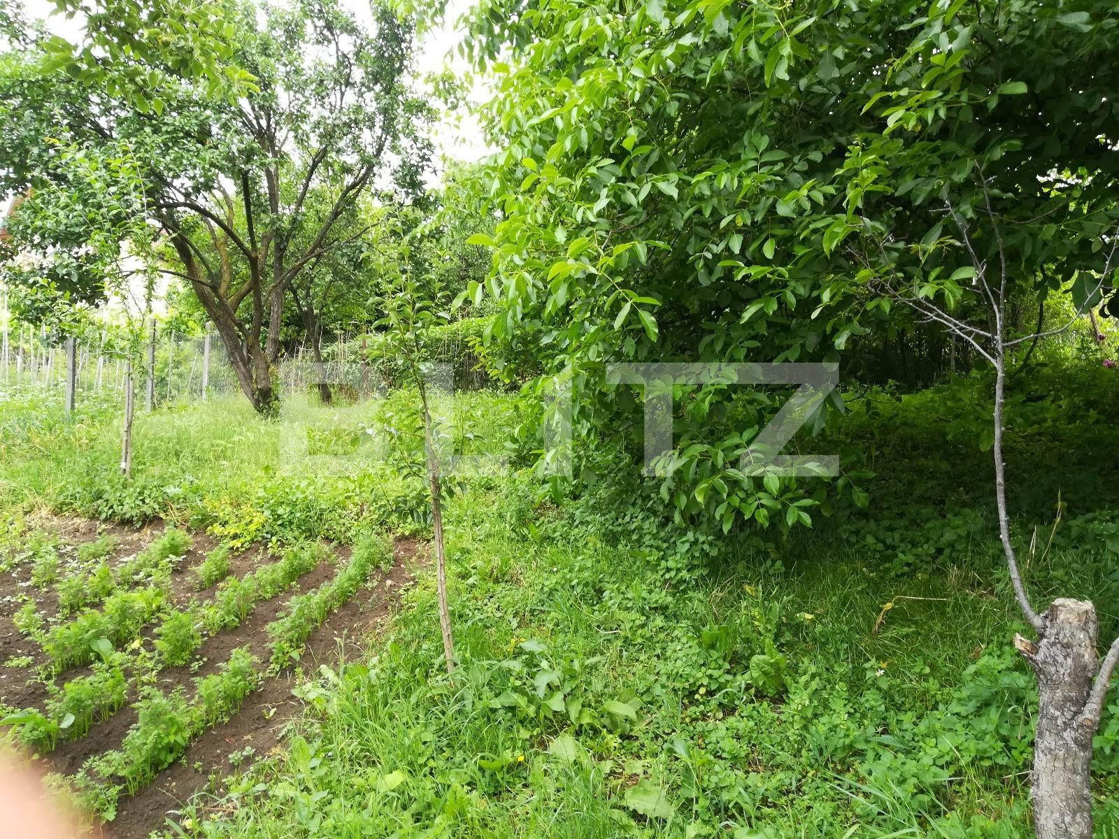 Casa de vânzare 4 camere Dambul Rotund - 26183CV | BLITZ Cluj-Napoca | Poza6