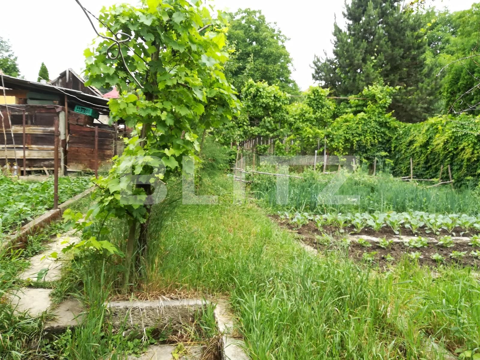 Casa de vânzare 4 camere Dambul Rotund - 26183CV | BLITZ Cluj-Napoca | Poza2