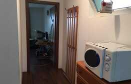 De vanzare garsoniera, 38 mp, decomandata, gradina 66 mp, zona strazii Frunzisului