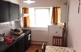 De vanzare garsoniera, 38 mp, decomandata, gradina 66 mp, zona strazii Frunzisului